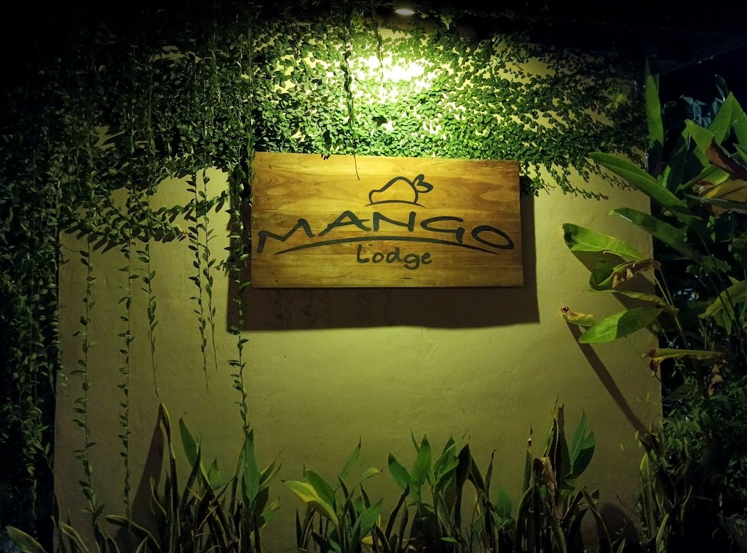 penginapan mango lodge